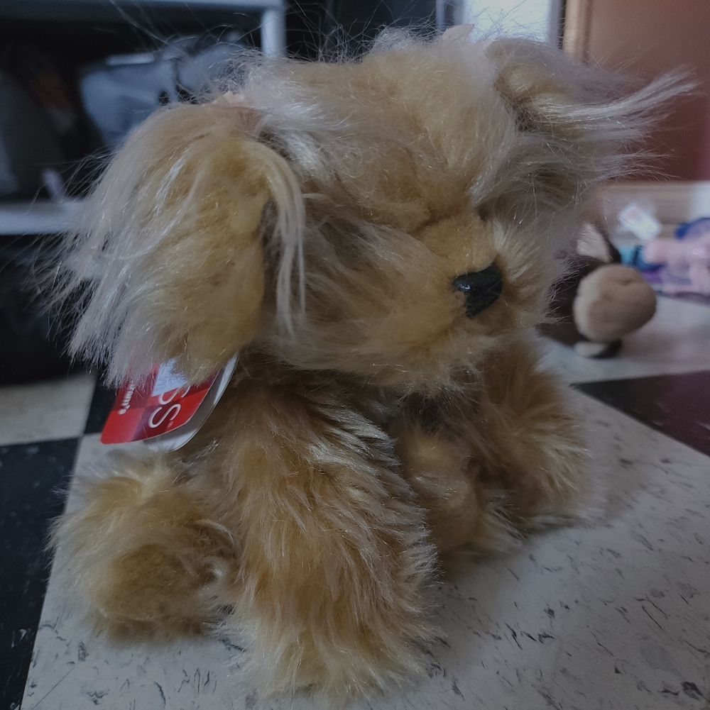 Russ Yorkshire Terrier Sparkle Gilda's Club